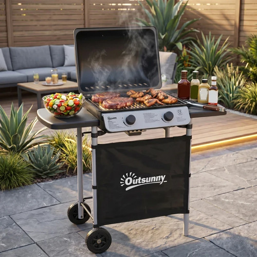 Propane gas barbecue - barbecue, grill