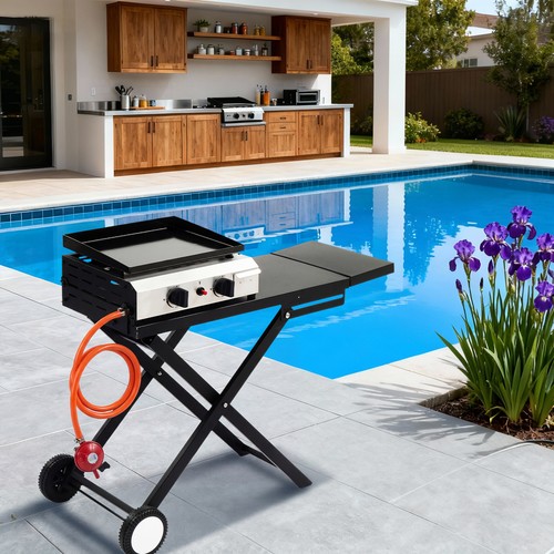 Folding gas barbecue - combo, bbq