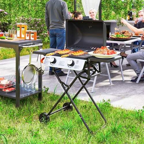 Portable foldable gas bbq - portable,